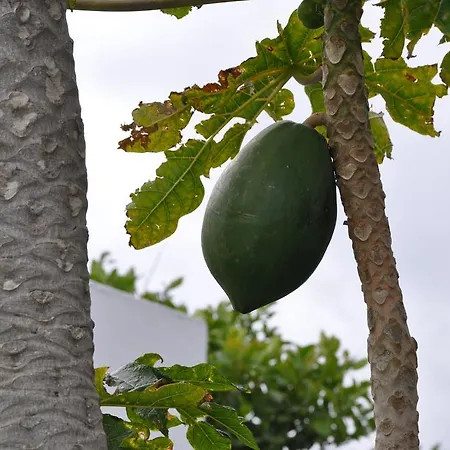 カントリーハウス La Casita De Mari Carmen