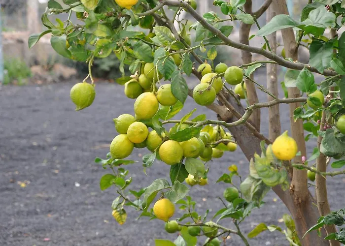 Летний дом La Casita De Mari Carmen
