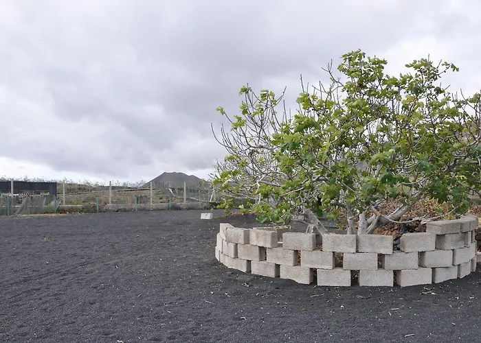 Kır Evi La Casita De Mari Carmen Mala