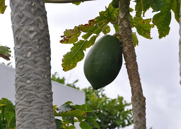 Летний дом La Casita De Mari Carmen